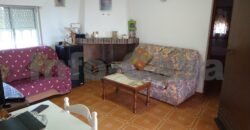 Finca en plena producción