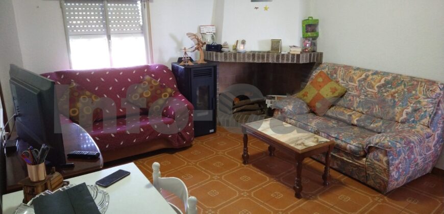 Finca en plena producción
