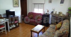 Finca en plena producción