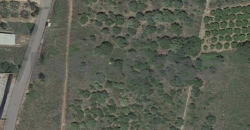 Terreno rustico en venta
