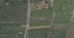 Terreno rustico en venta