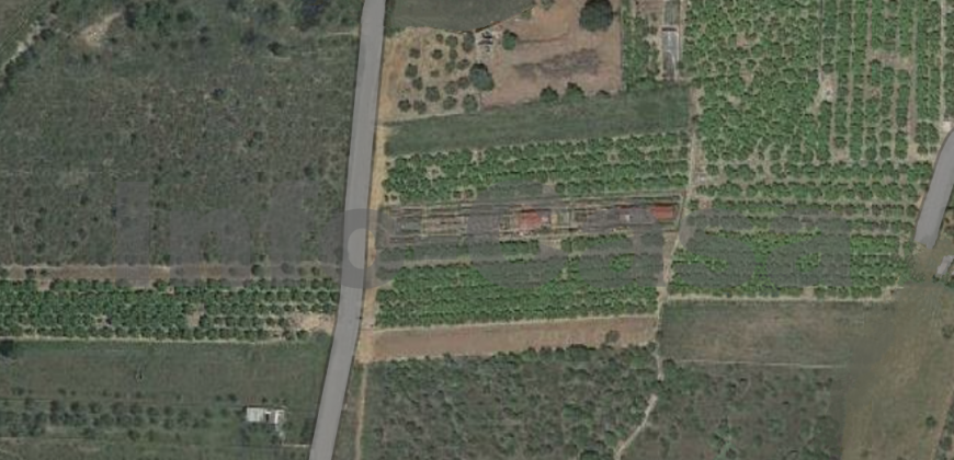 Terreno rustico en venta