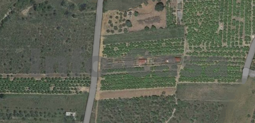 Terreno rustico en venta