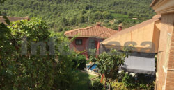 Estupendo chalet en Nueva Onda