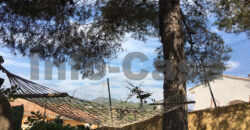 Estupendo chalet en Nueva Onda