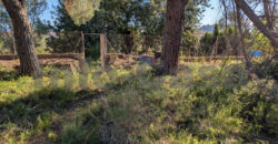 Finca rústica en venta