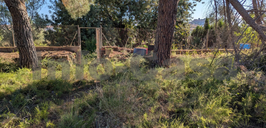 Finca rústica en venta