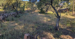 Finca rústica en venta