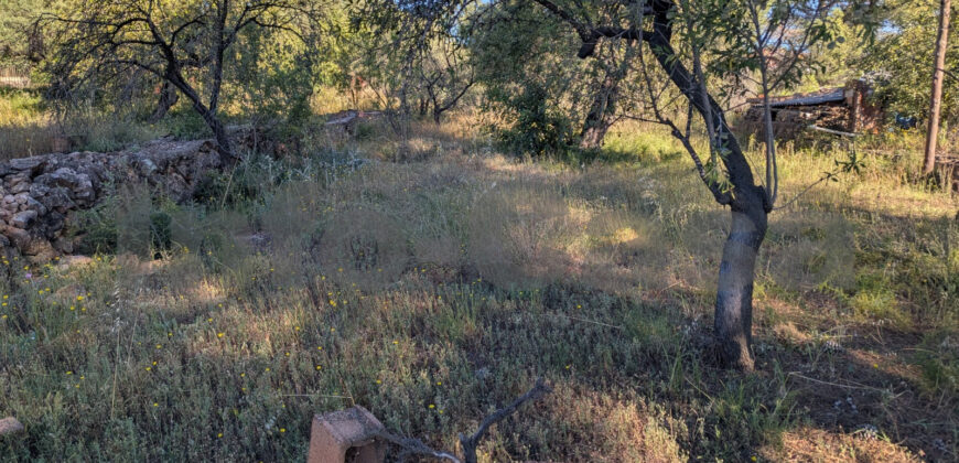Finca rústica en venta