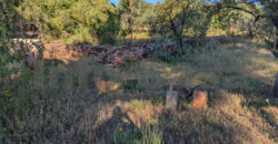 Finca rústica en venta