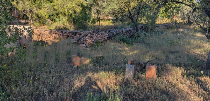 Finca rústica en venta