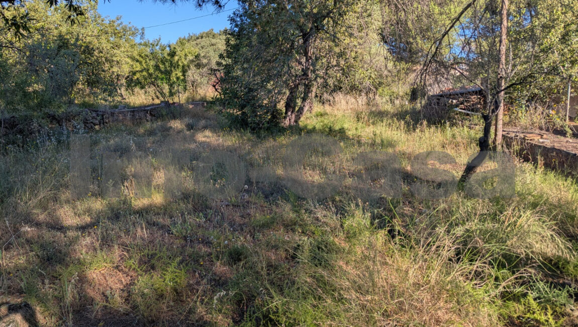 Finca rústica en venta