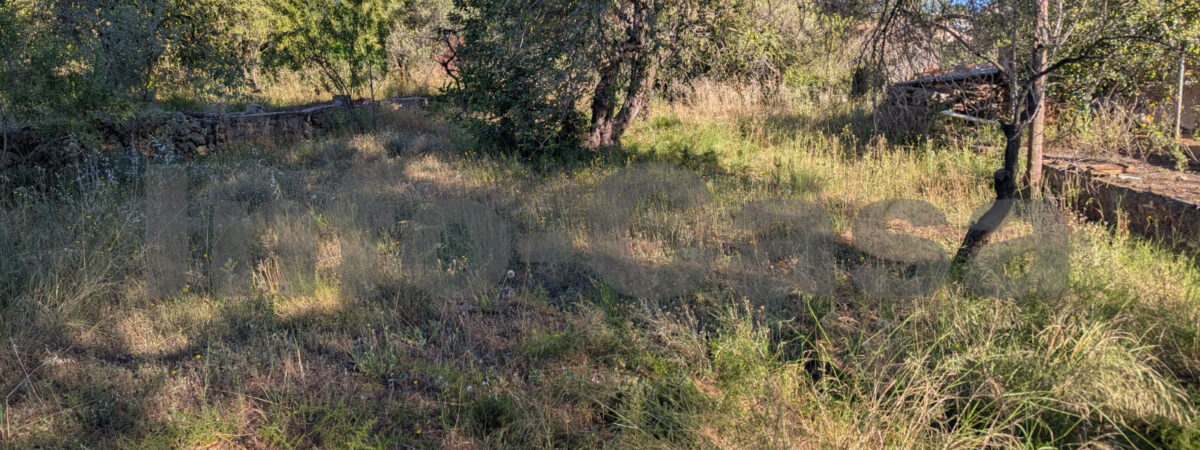 Finca rústica en venta
