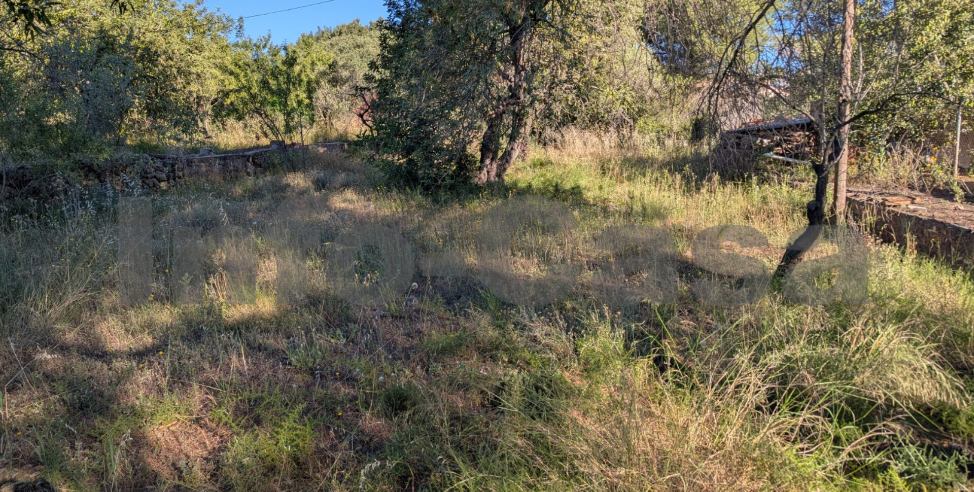 Finca rústica en venta