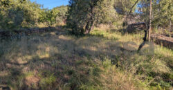 Finca rústica en venta