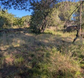 Finca rústica en venta