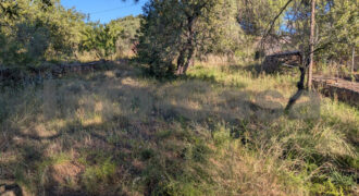 Finca rústica en venta