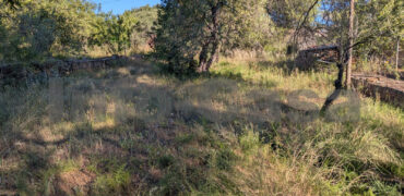 Finca rústica en venta