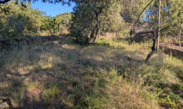 Finca rústica en venta