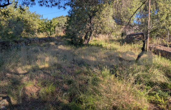 Finca rústica en venta