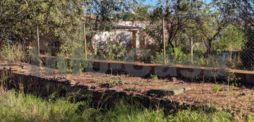 Finca rústica en venta