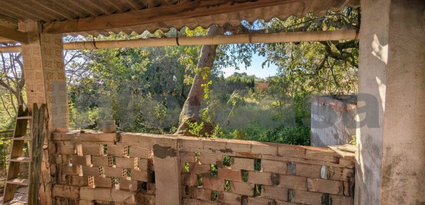 Finca rústica en venta