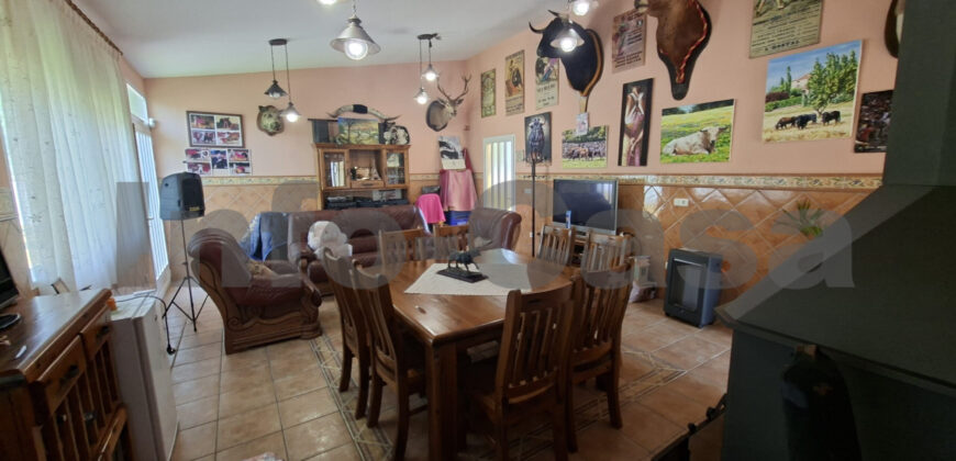 Chalet en venta