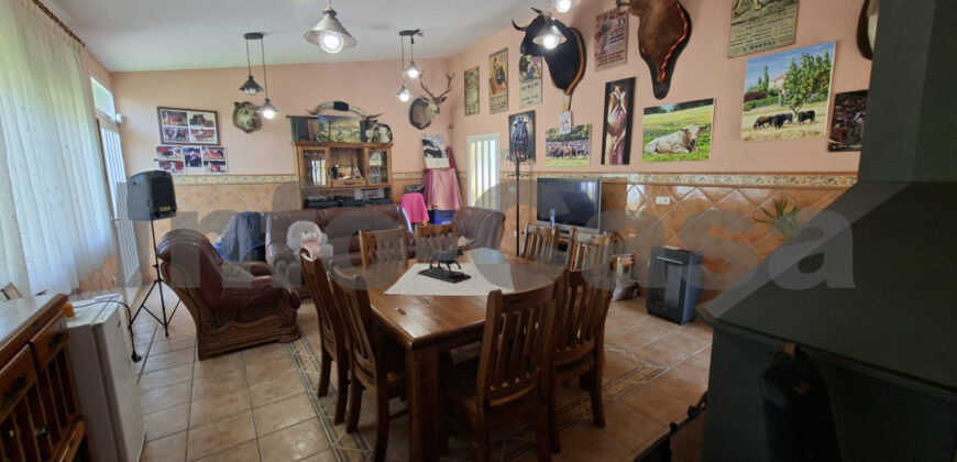 Chalet en venta