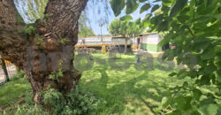 Chalet en venta